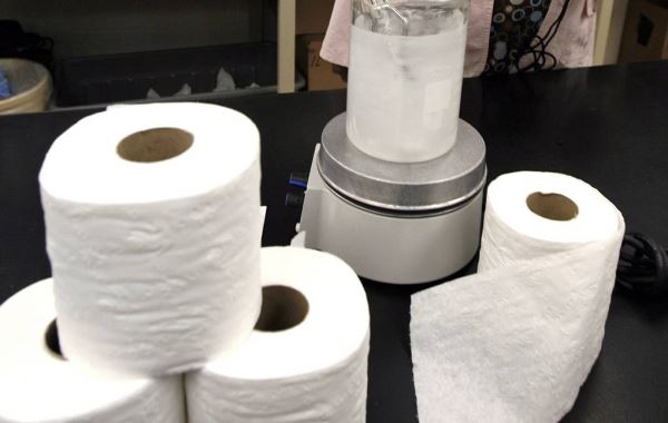 Экологи обнаружили токсины в туалетной бумаге из США, Европы и Африки